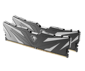 זכרון לנייח NETAC Shadow II DDR5 6000Mhz 32GB 2x16GB C38 BLACK